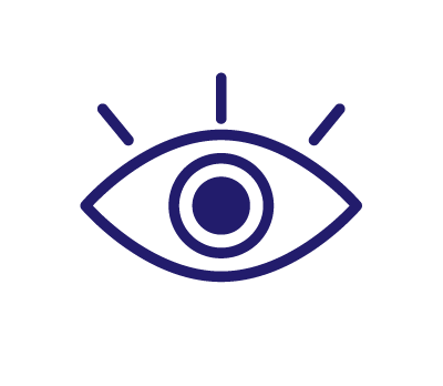 Our Vision Icon