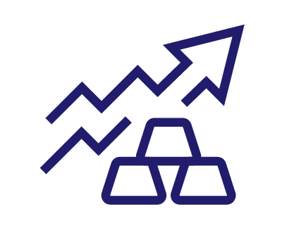 Inflation Hedge icon